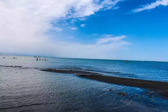 青島新東方烹飪學(xué)校