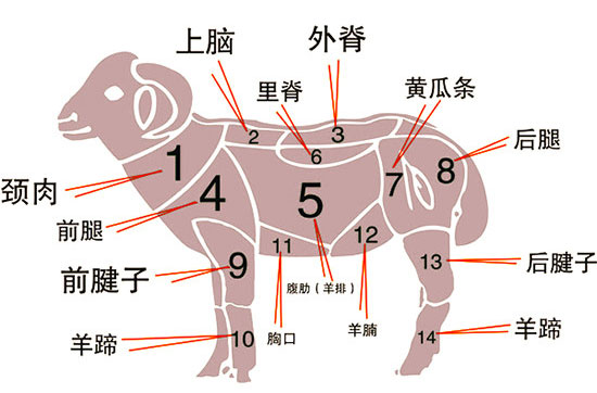 <a href=http://montgomerycountyscienceday.org target=_blank class=infotextkey>青島新東方烹飪學(xué)校</a>