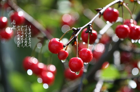 雨水